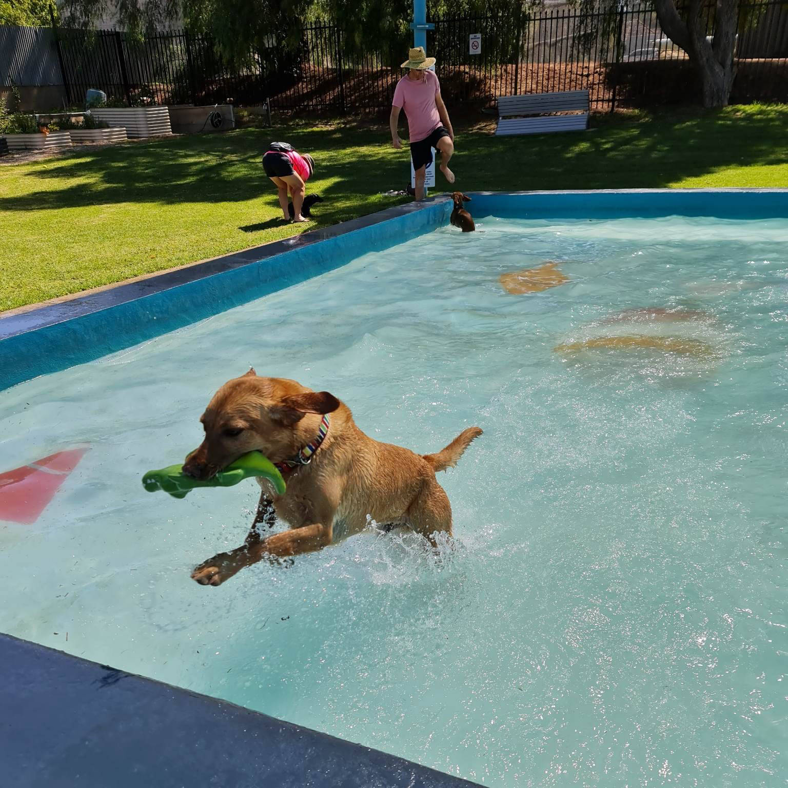 golden square pool