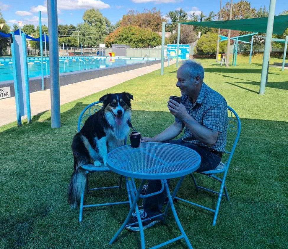 golden square pool for paws