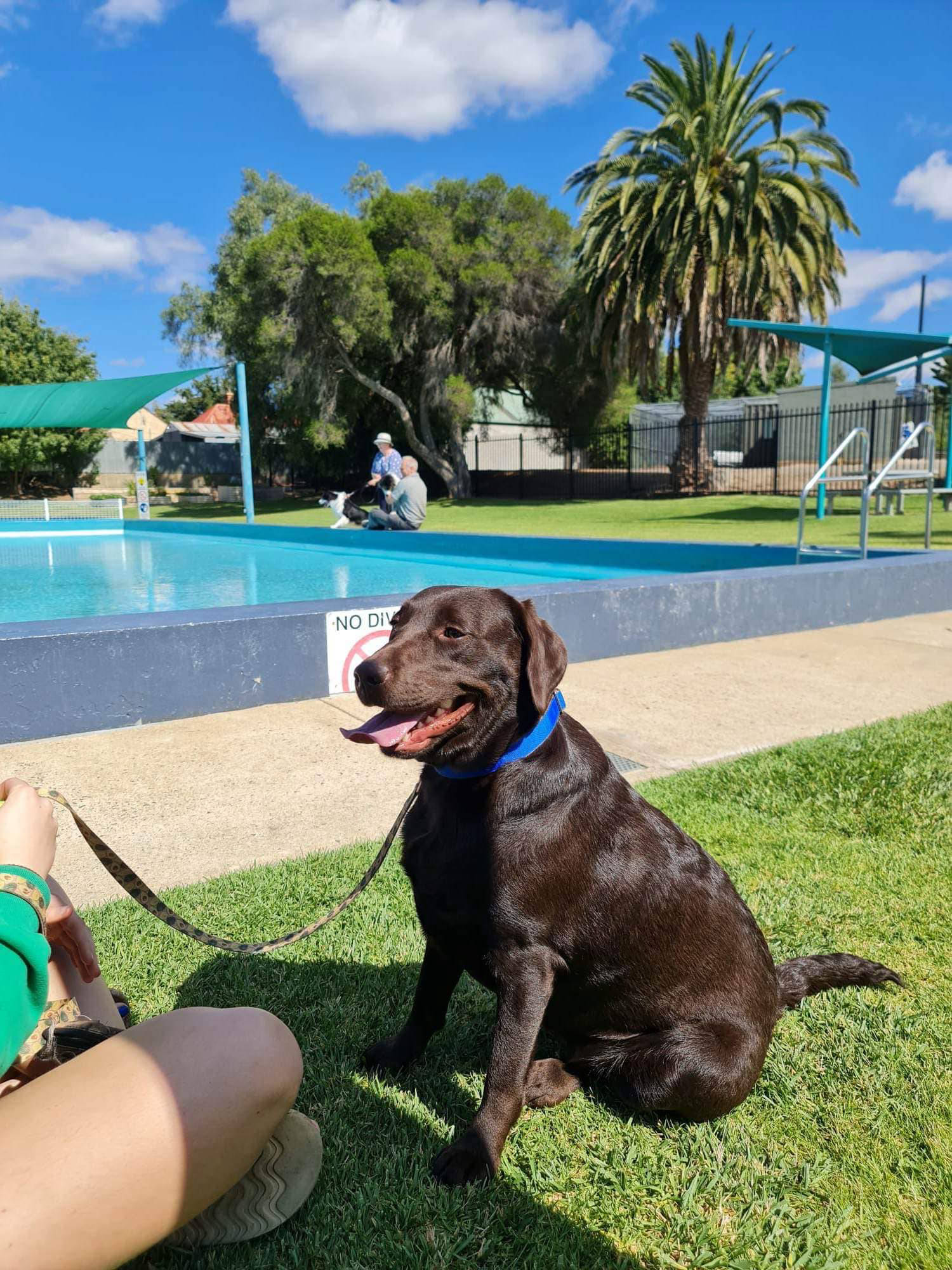 golden square pool