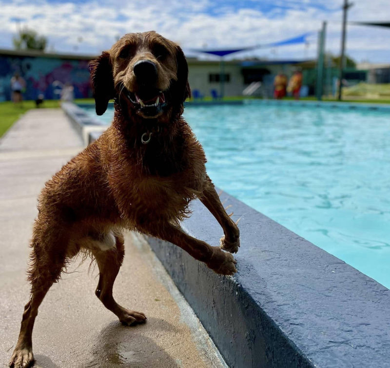 golden square pool