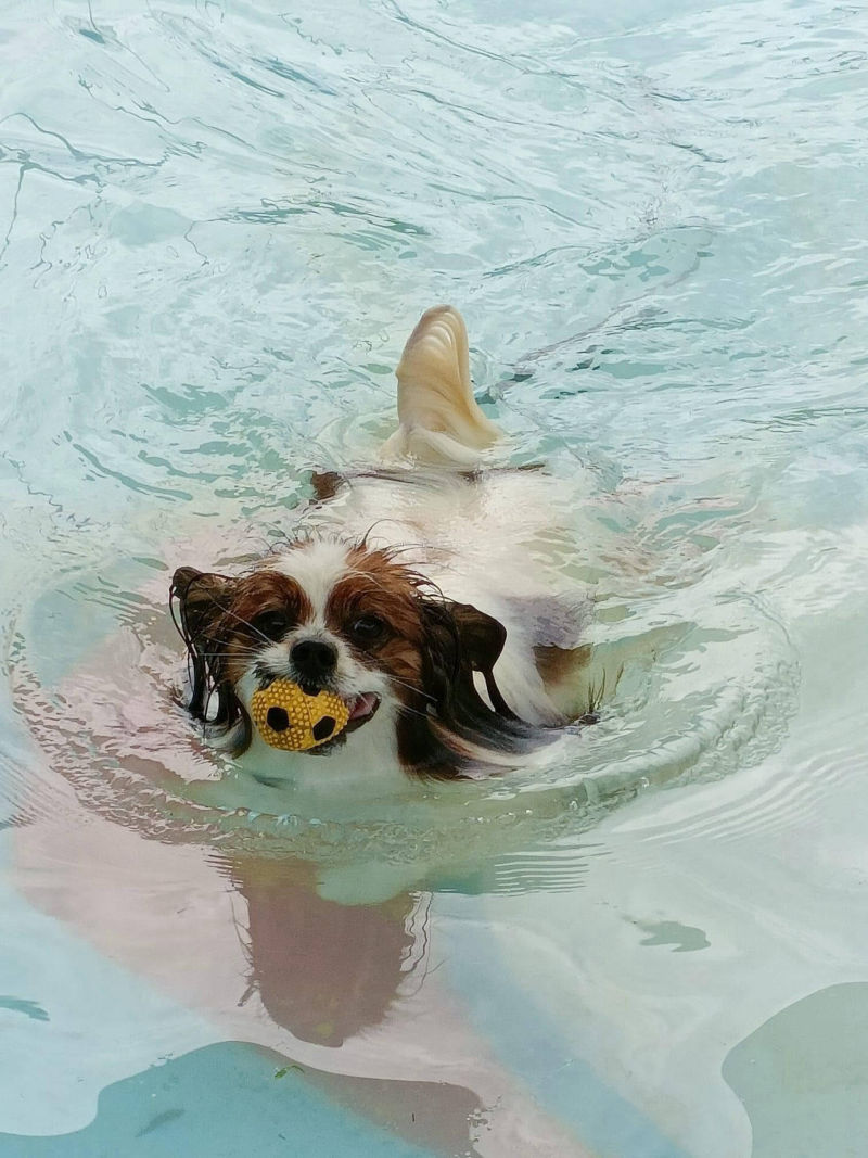 golden square pool